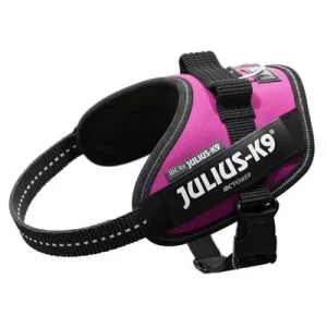 Julius-K9 Harnais pour chien IDC® Power, rose foncé
