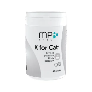 K for Cat chat, chien