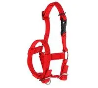 Kerbl Licol en alpaga – Tous types d’alpaga – Fermeture à clip – Taille réglable – Rouge – Comparez les prix et achetez sur