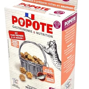 Kit de fabrication de friandises au saumon - Chat