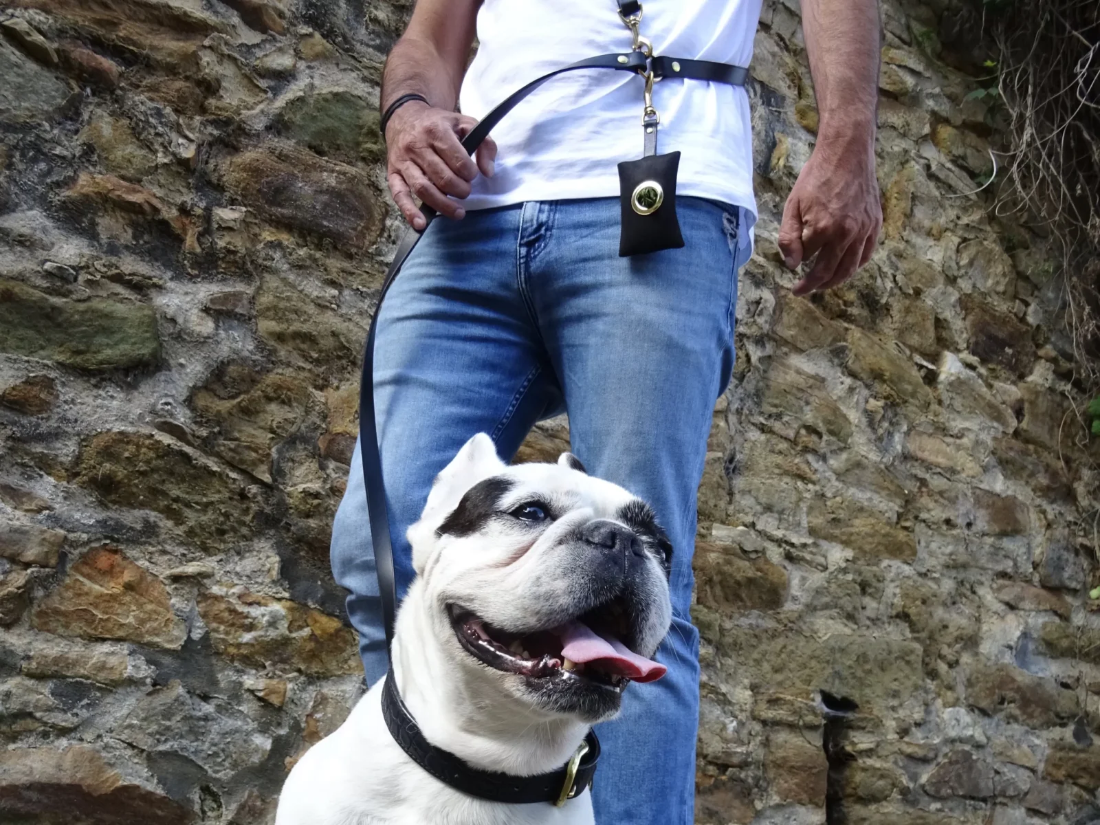 Kit longue balade collier + laisse multiposition CANIS LUPUS