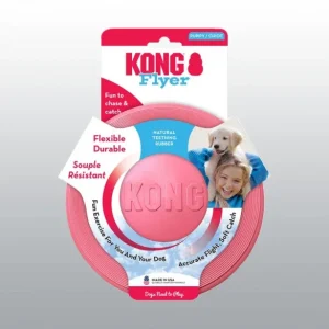 Kong Frisbee pour chiot