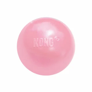 KONG - Jouet Balle Puppy Ball pour Chiot