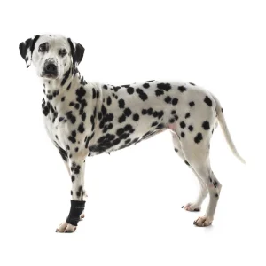Kruuse Rehab Protection de Poignet
