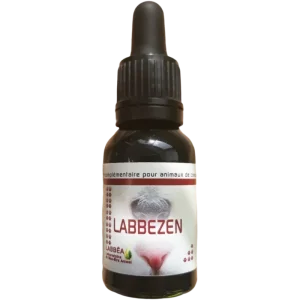 Labbezen chat, chien