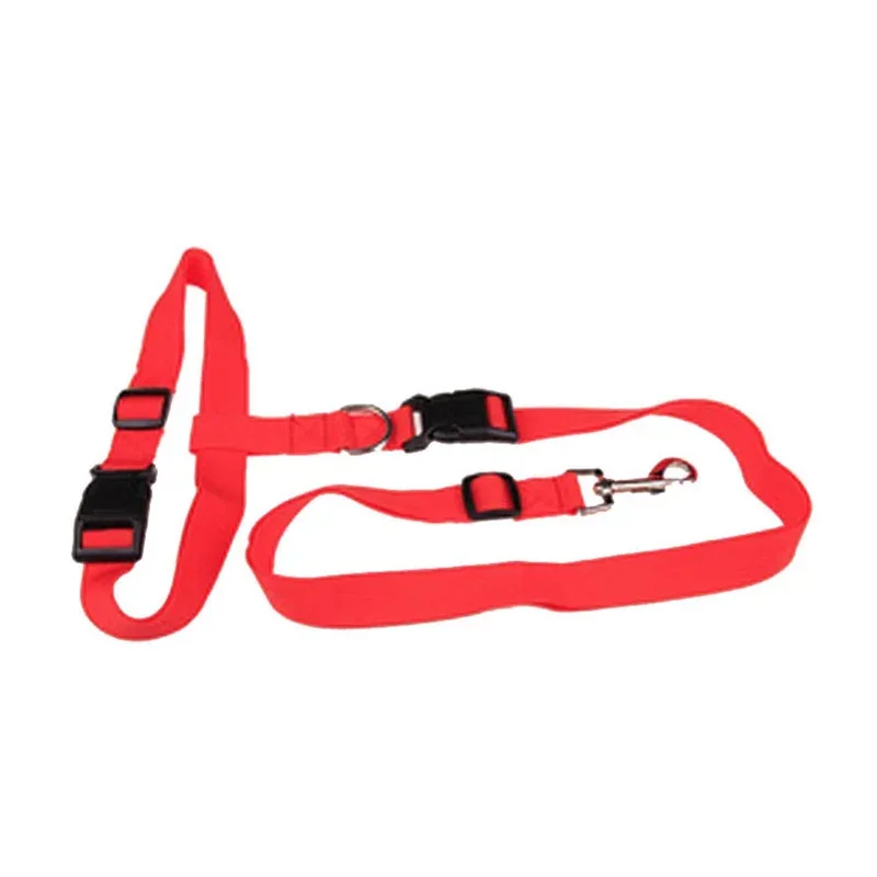 Laisse de jogging pour chien – accessoire sport canin – Vêt’chien