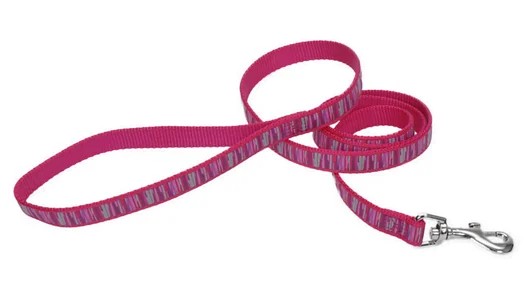 Laisse de nylon rose pour chat et chien, Ribbon 6′, Coastal