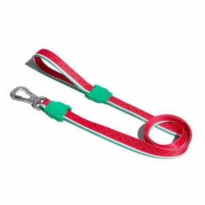 Laisse Lola rouge pastèque chien