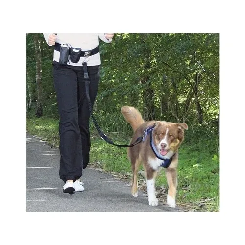 Laisse main libre chien - Image 2