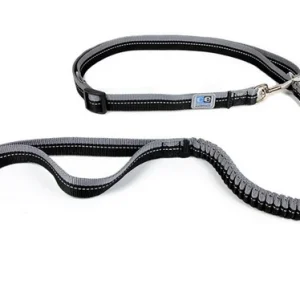 Laisse pour chien, bungee active 4 en 1 noir, RC Pets