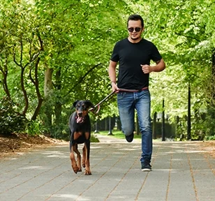 Laisse pour chien, bungee active 4 en 1 noir, RC Pets - Image 2
