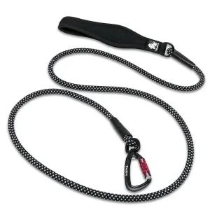Laisse pour chien de chasse