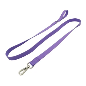 Laisse pour chien élastique