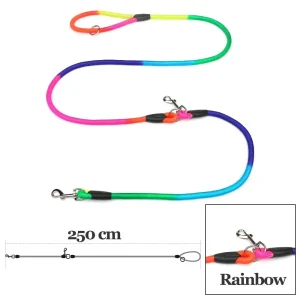 Laisse pour chien en nylon