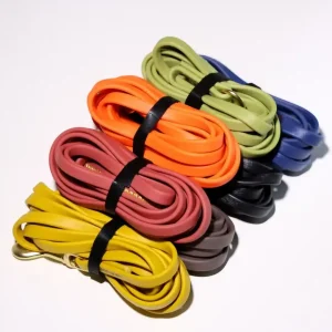Laisse pour chien en PVC imperméable