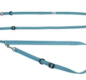 Laisse pour chien et chat, RC Pets, Primary Active bleu sarcelle