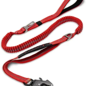 Laisse pour chien indestructible