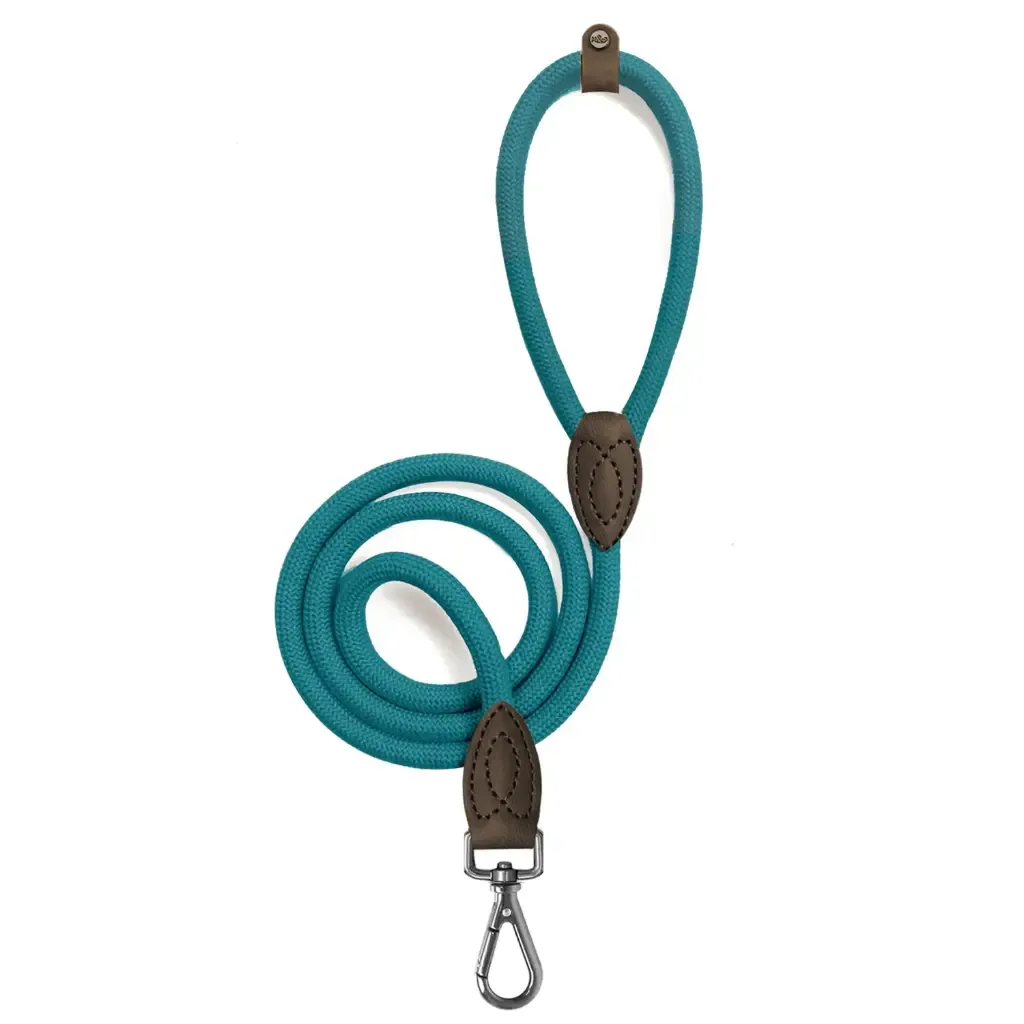 Laisse pour chien Kaya – Milk&Pepper