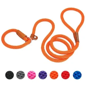 Laisse pour chien lasso