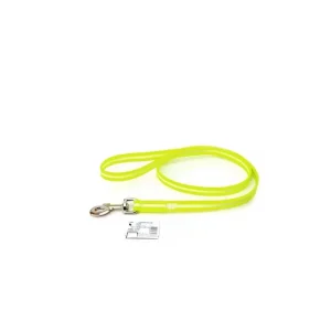Laisse pour chien Lumino