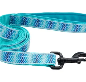 Laisse pour chien modèle Ribbon 6″, Coastal
