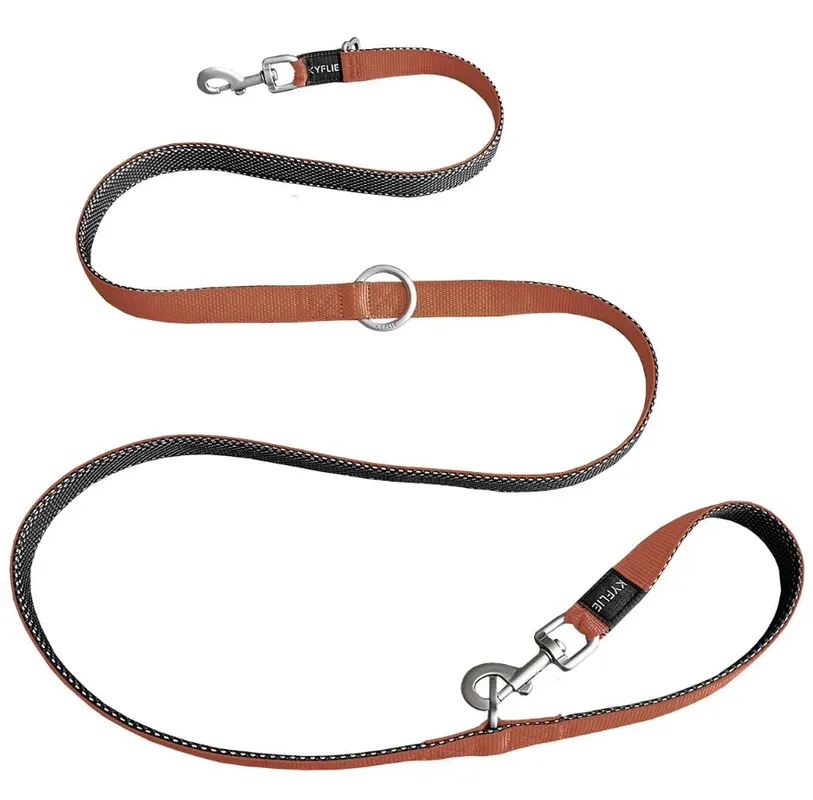 Laisse pour chien Momemtum training Cuivre (M) – Kyflie J’ai plus de croquettes