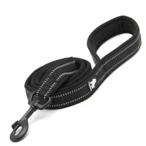 Laisse pour chien noir