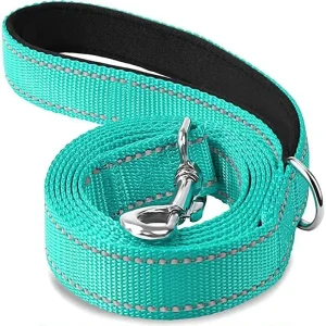 Laisse pour chien spitz nain