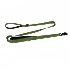 Laisse pour chiot golden retriever
