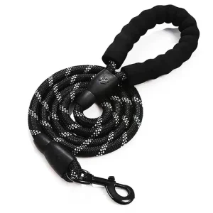 Laisse pour gros chien qui tire fort