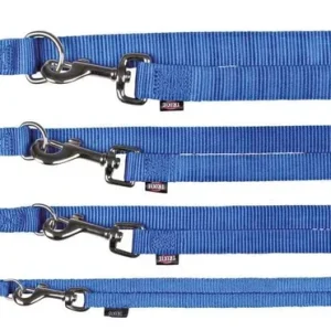 Laisse premium reglable pour chien