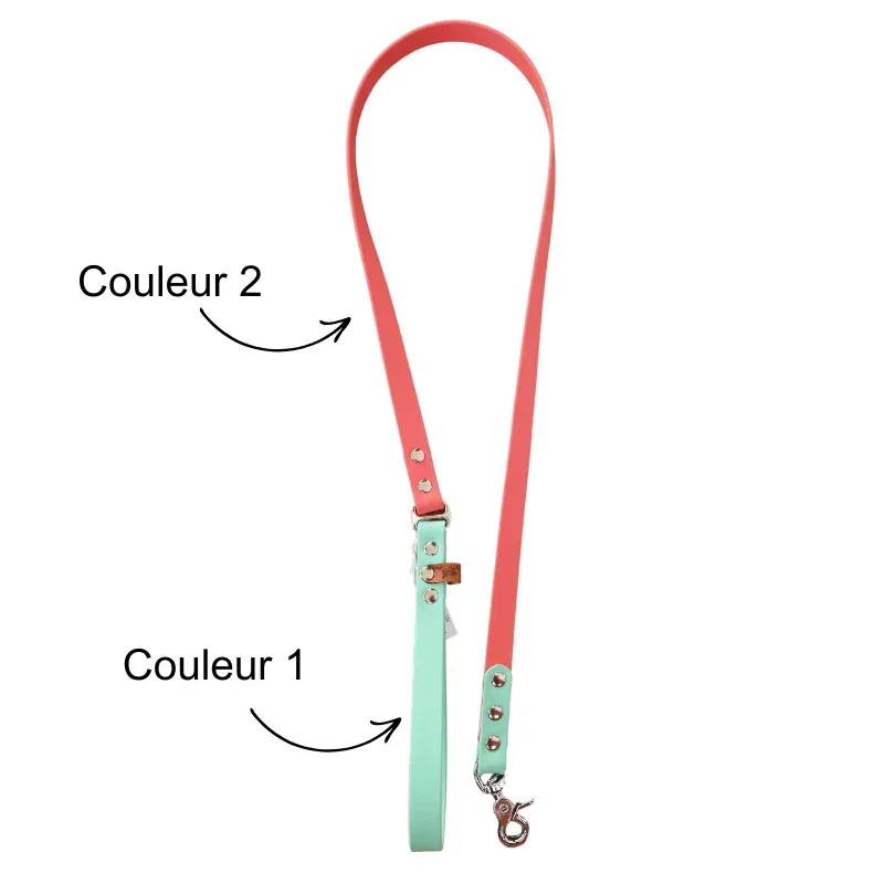 Laisses pour chiens en Biothane bicolor L’Instinct Animal
