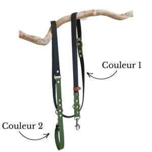 Laisses pour chiens Multi-position Hexa-sangle Bicolor L’Instinct Animal