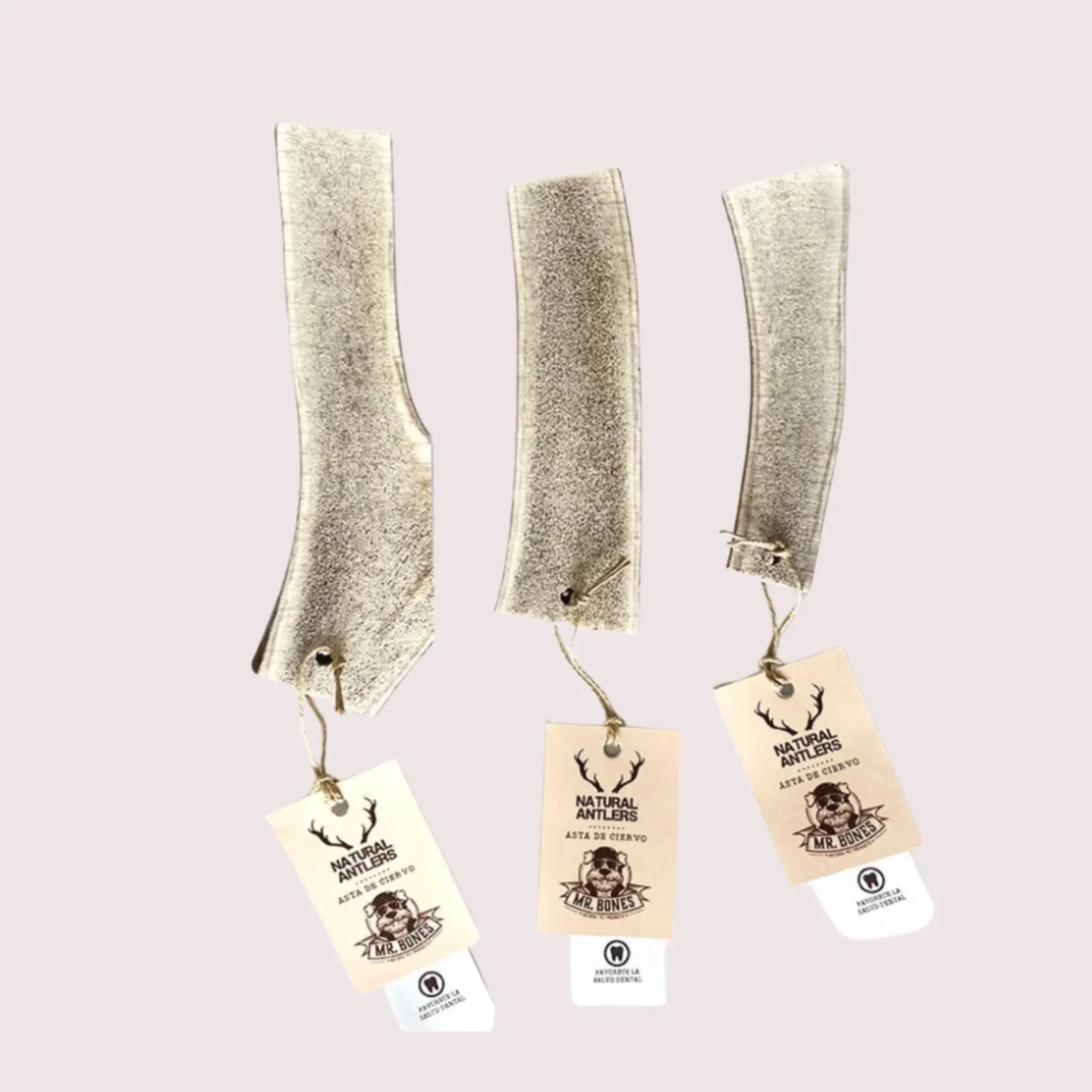 Le Bois de Cerf Fendu – Mastication