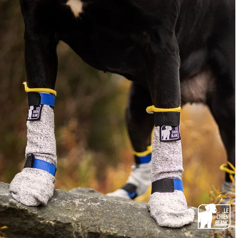 Le chien blanc – Botte longue anti-coupure