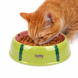 Leeby - Gamelle Design Pastèque en Céramique pour Chats - 150ml