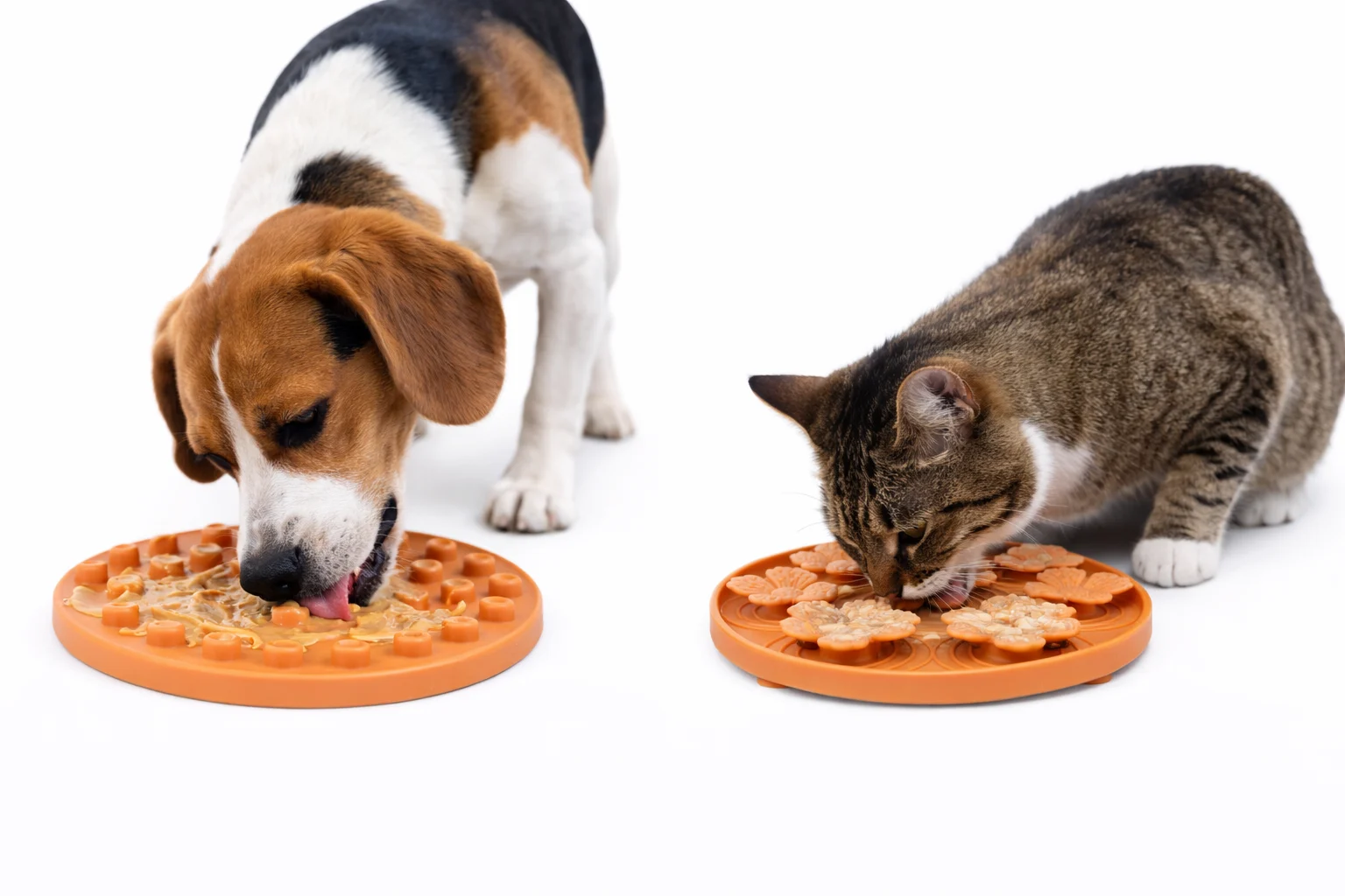Leeby - Tapis à Lécher Fleurs pour Chiens - Orange - Image 2