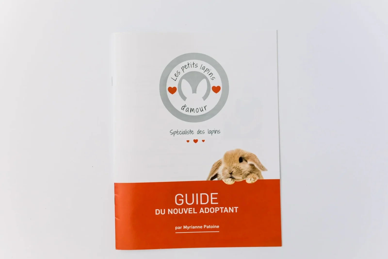 Les Petits Lapins D’Amour – Guide du Nouvel Adpotant – Lapin