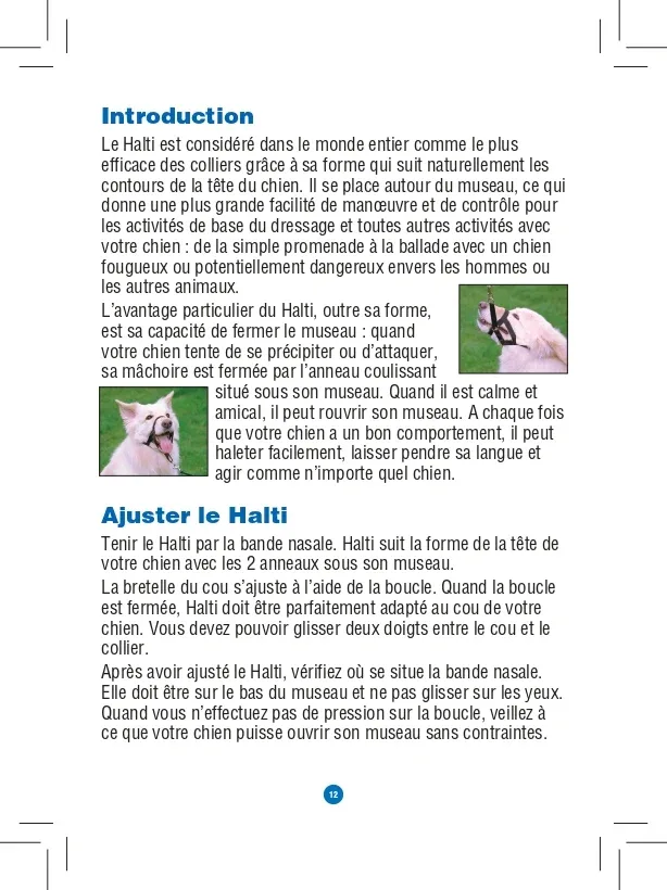 Licol Halti chien - Image 2