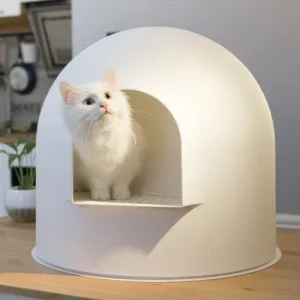 L'Igloo by Pidan - chat