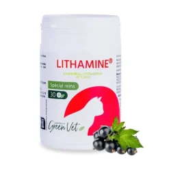 Lithamine Chat