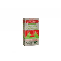 Lithamine Chien