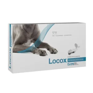 Locox - chien, chat