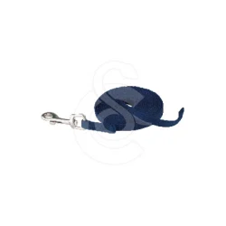 Longe de rappel Coachi pour chiot