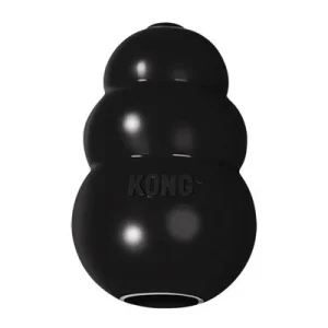 Lot KONG Extreme pour chien