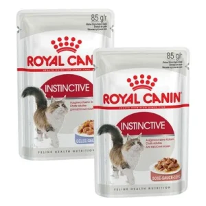 Lot mixte 24 x 85 g Royal Canin en gelée et en sauce