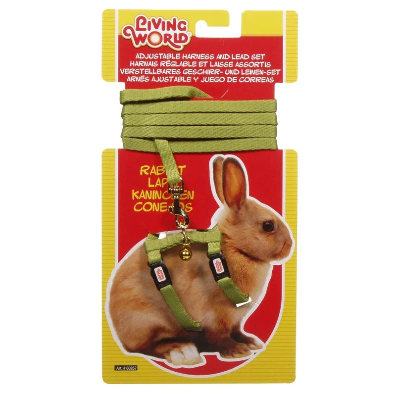 *LW Laisse 48″ & Harnais Lapin Vert