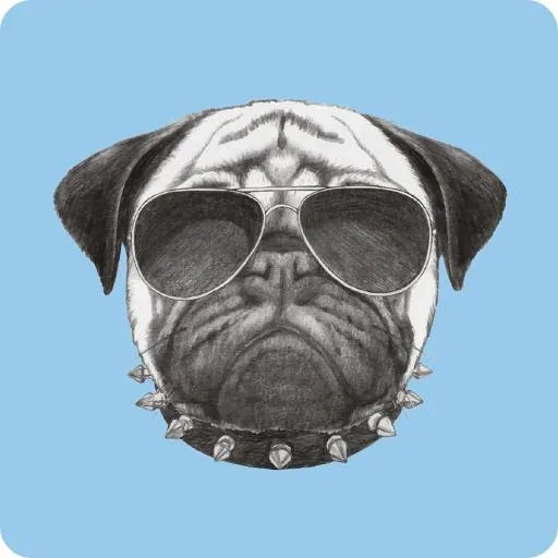 Magnet & Steel Carlino Dog Posts avec des lunettes de soleil – France
