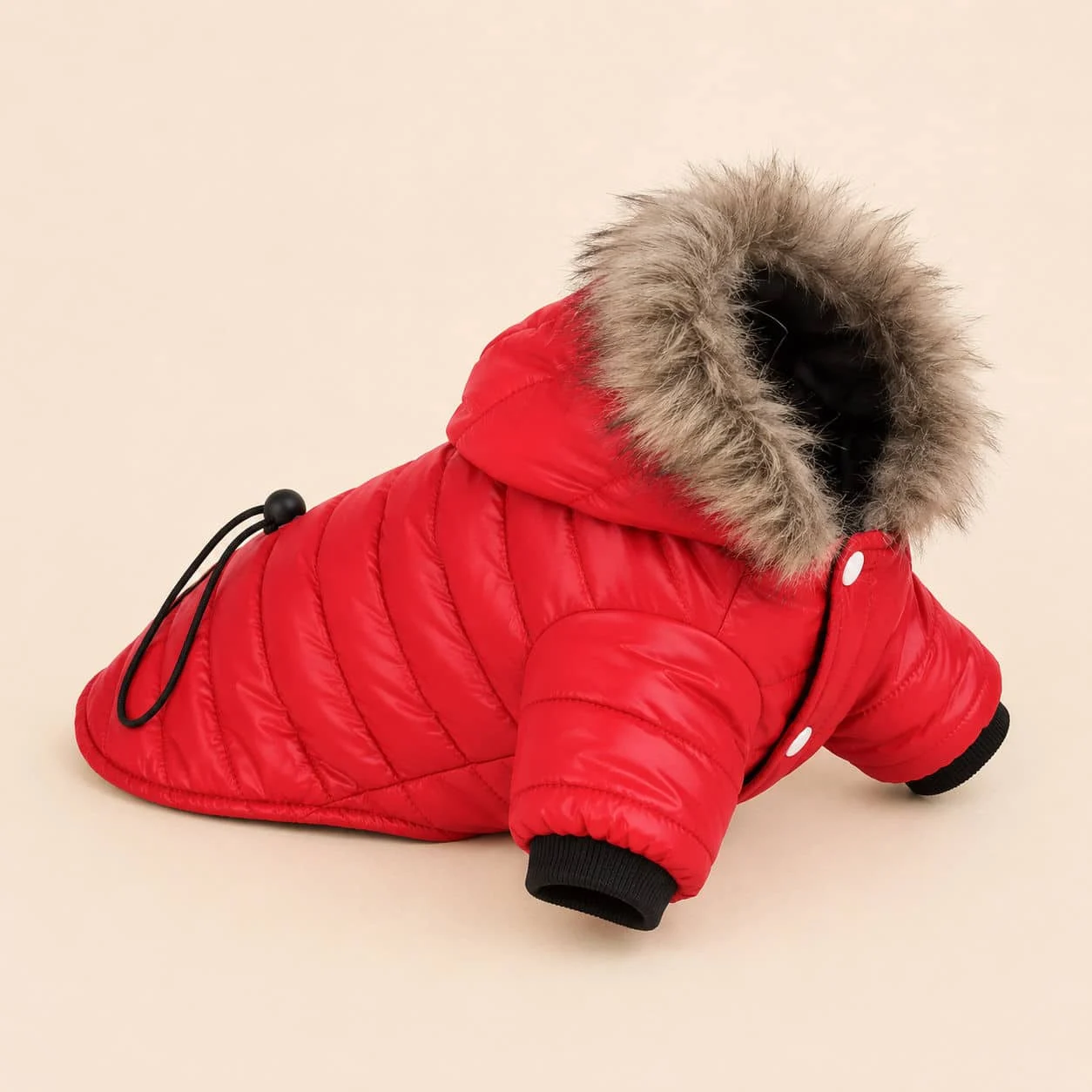 Manteau Chihuahua : Doudoune col fourrure rouge