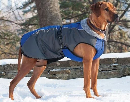 Manteau d’hiver Chinook Shedrow K9 bleu pour chiens - Image 2